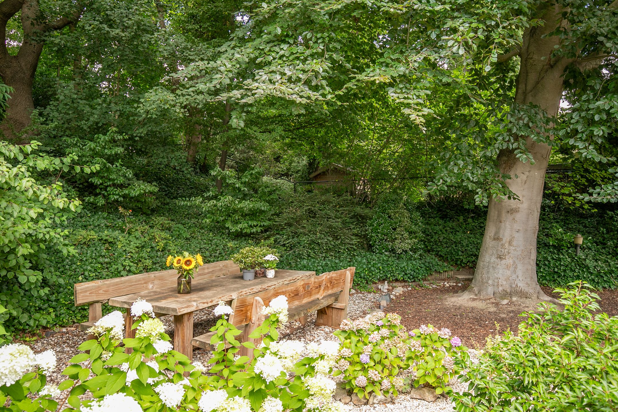 Foto 24 van Kitskensdal 30