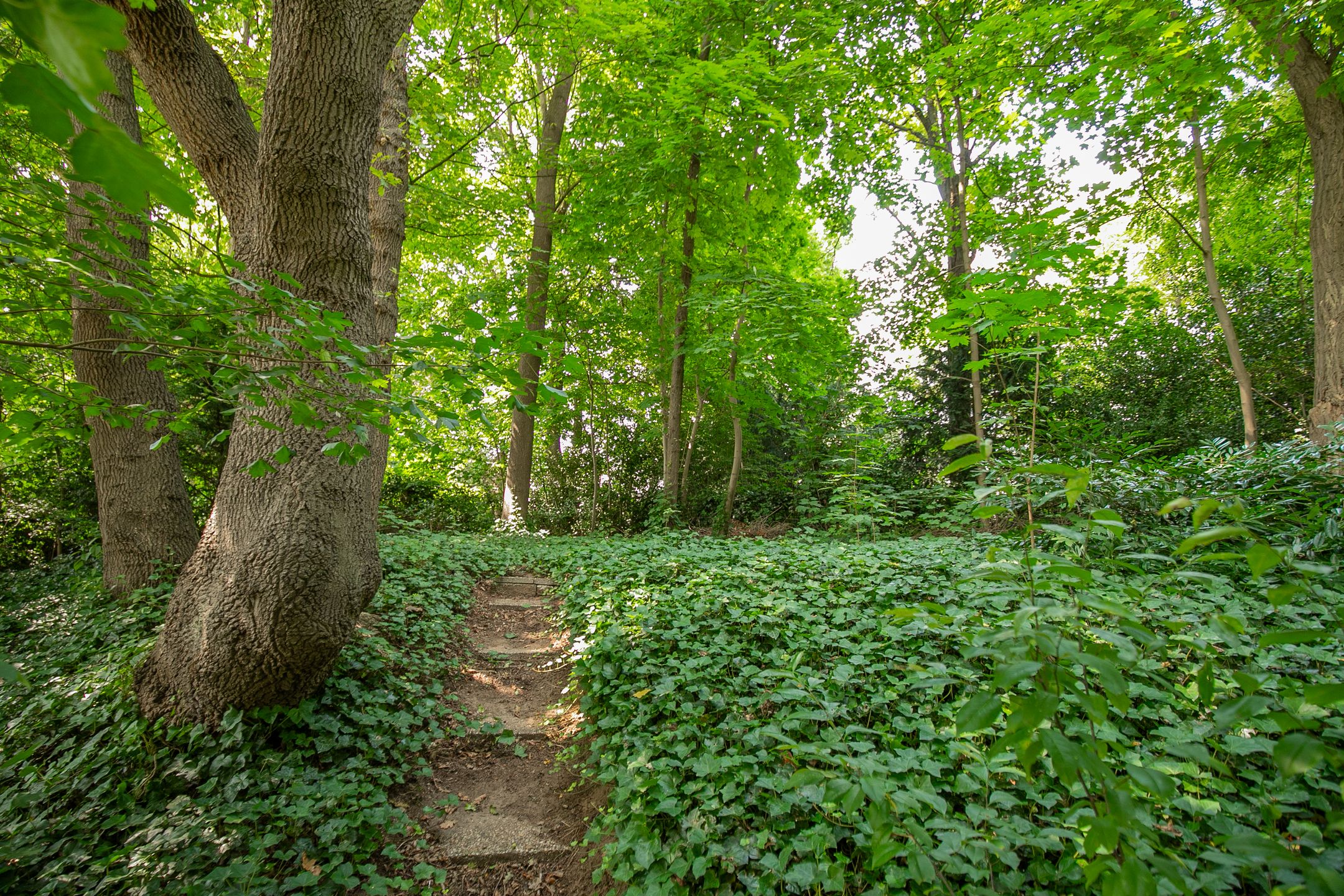 Foto 27 van Kitskensdal 30