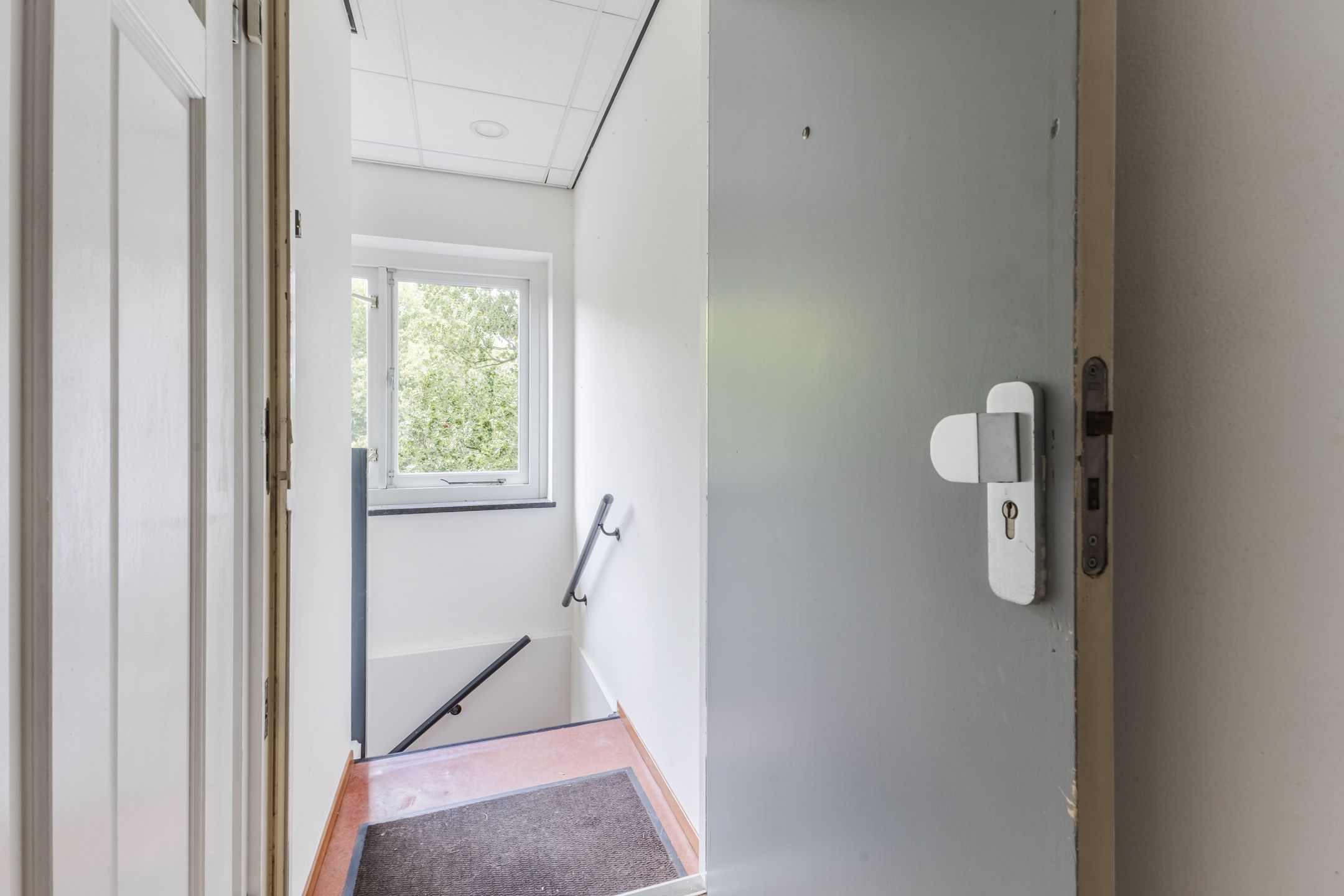 Foto 12 van Dr. C.W.H. van Raaltenpark 23