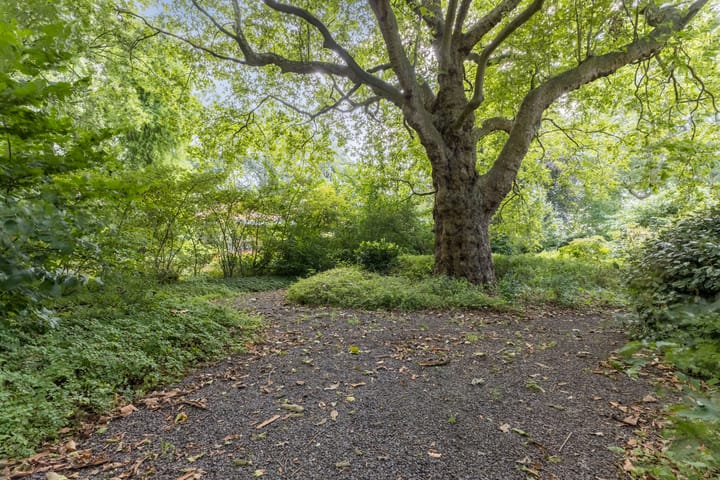 Foto 31 van Dr. C.W.H. van Raaltenpark 23