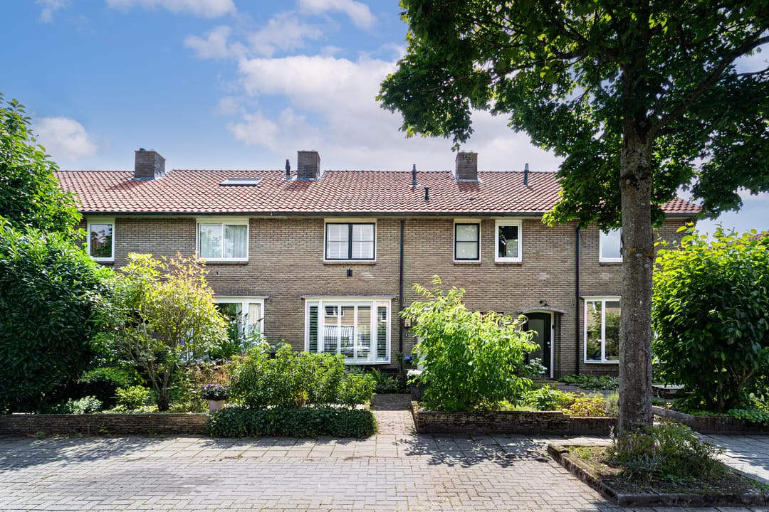 Foto 1 van Witte de Withlaan 4