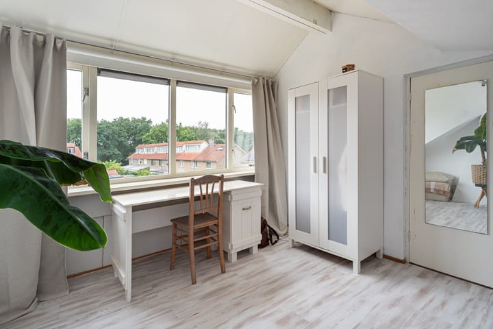 Foto 38 van Witte de Withlaan 4