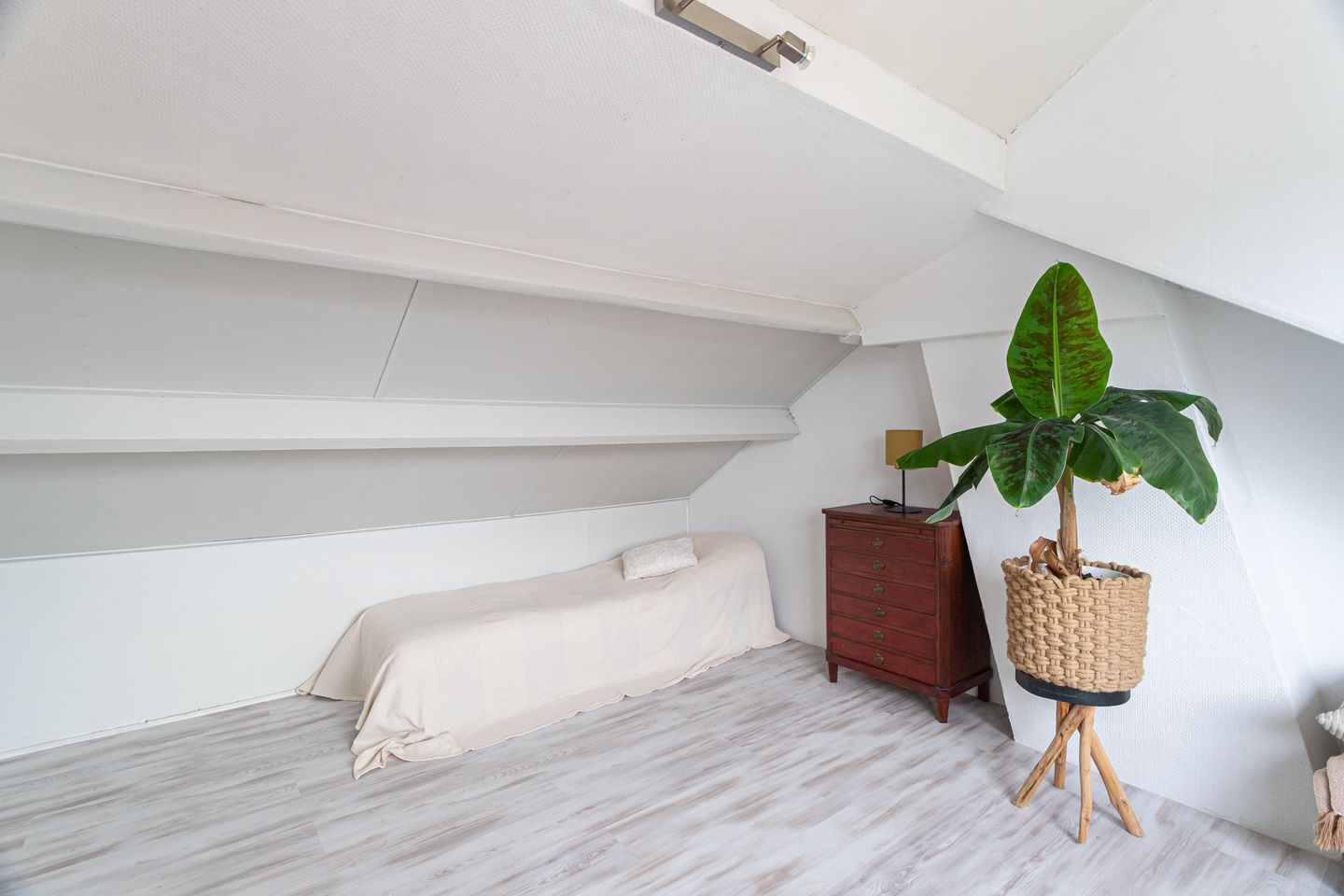 Foto 40 van Witte de Withlaan 4