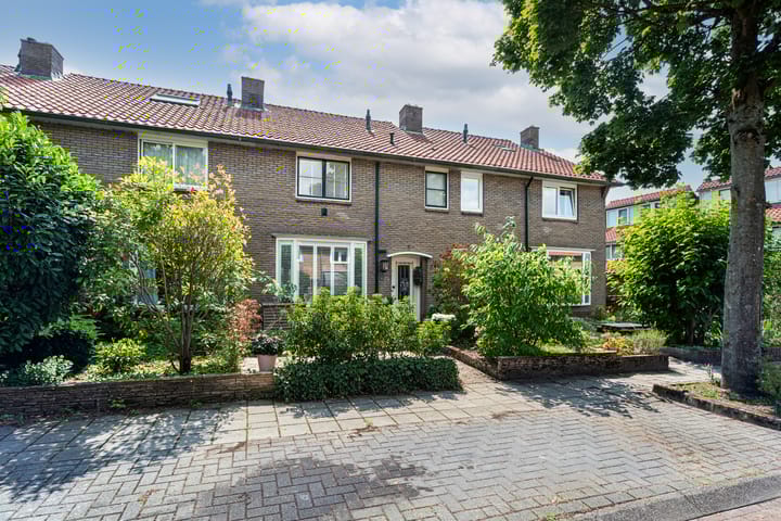 Foto 41 van Witte de Withlaan 4