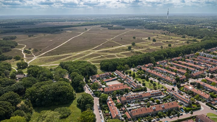 Foto 44 van Witte de Withlaan 4