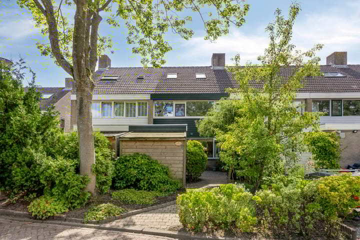 Foto 1 van van Mieroplaan 29