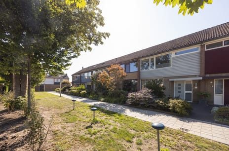 undefined main image