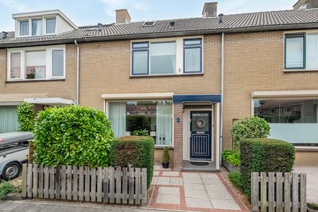 undefined main image