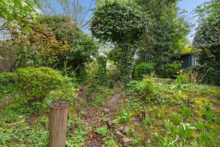 Foto 34 van Karveel 20 54