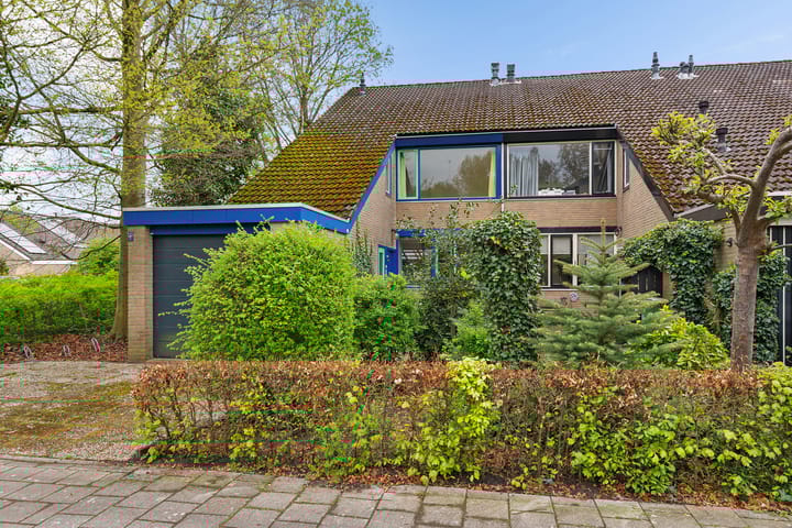 Foto 40 van Karveel 20 54