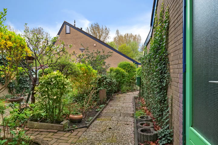 Foto 41 van Karveel 20 54