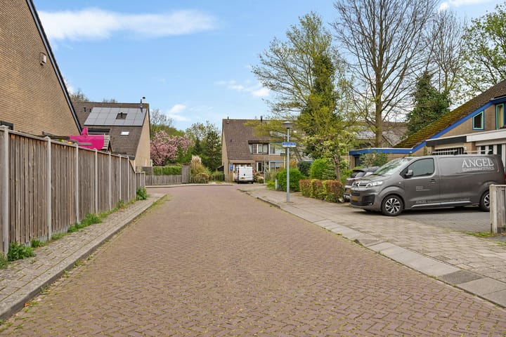 Foto 51 van Karveel 20 54