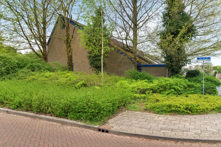 Foto 53 van Karveel 20 54