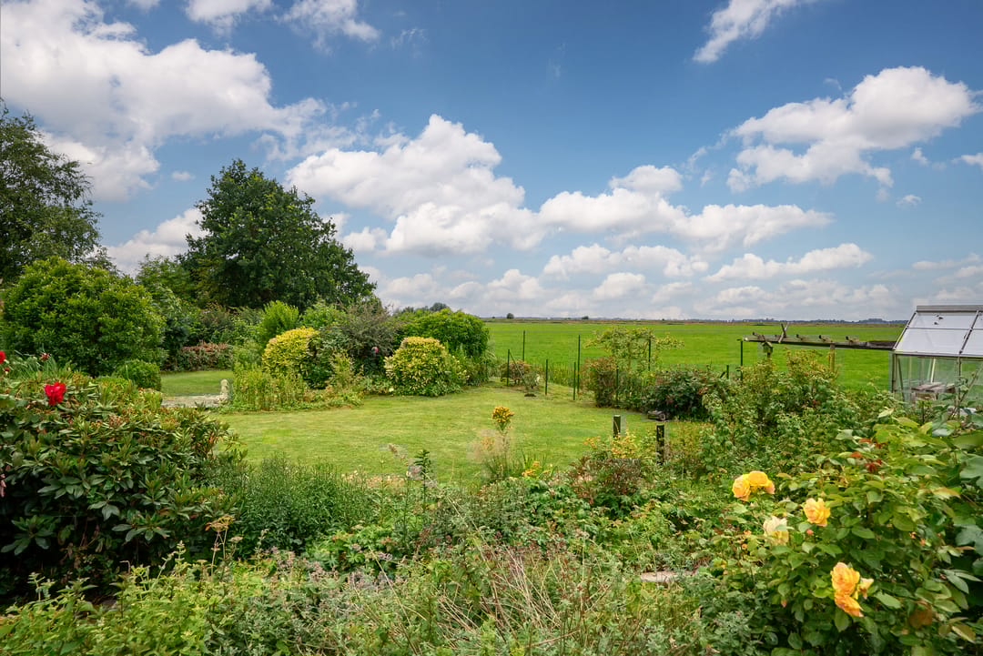 Foto 43 van It String 2