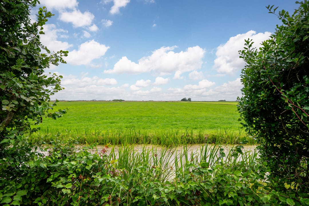 Foto 46 van It String 2