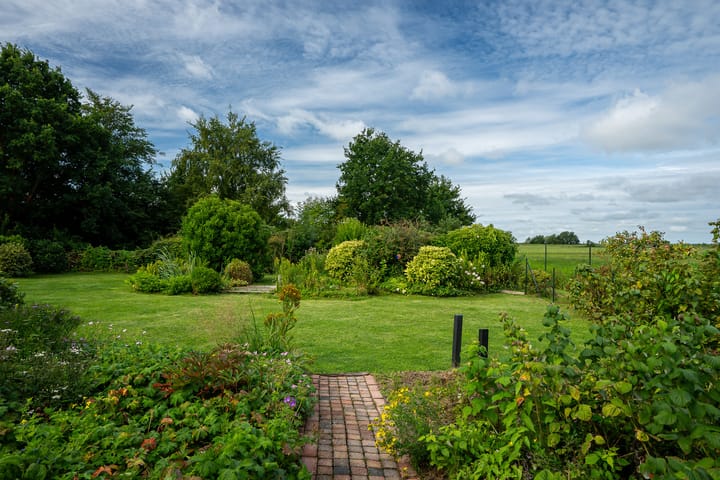 Foto 54 van It String 2