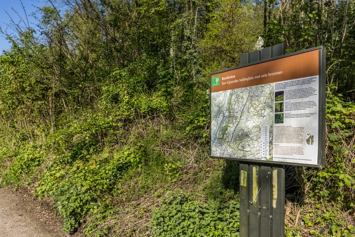 Foto 9 van Boschweg 2-C