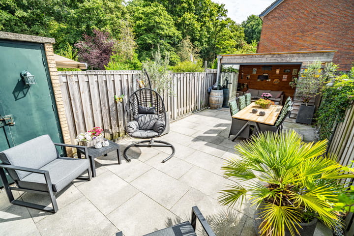 Foto 12 van Fakkelgras 12