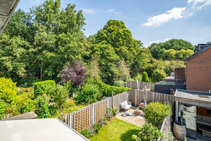 Foto 40 van Fakkelgras 12