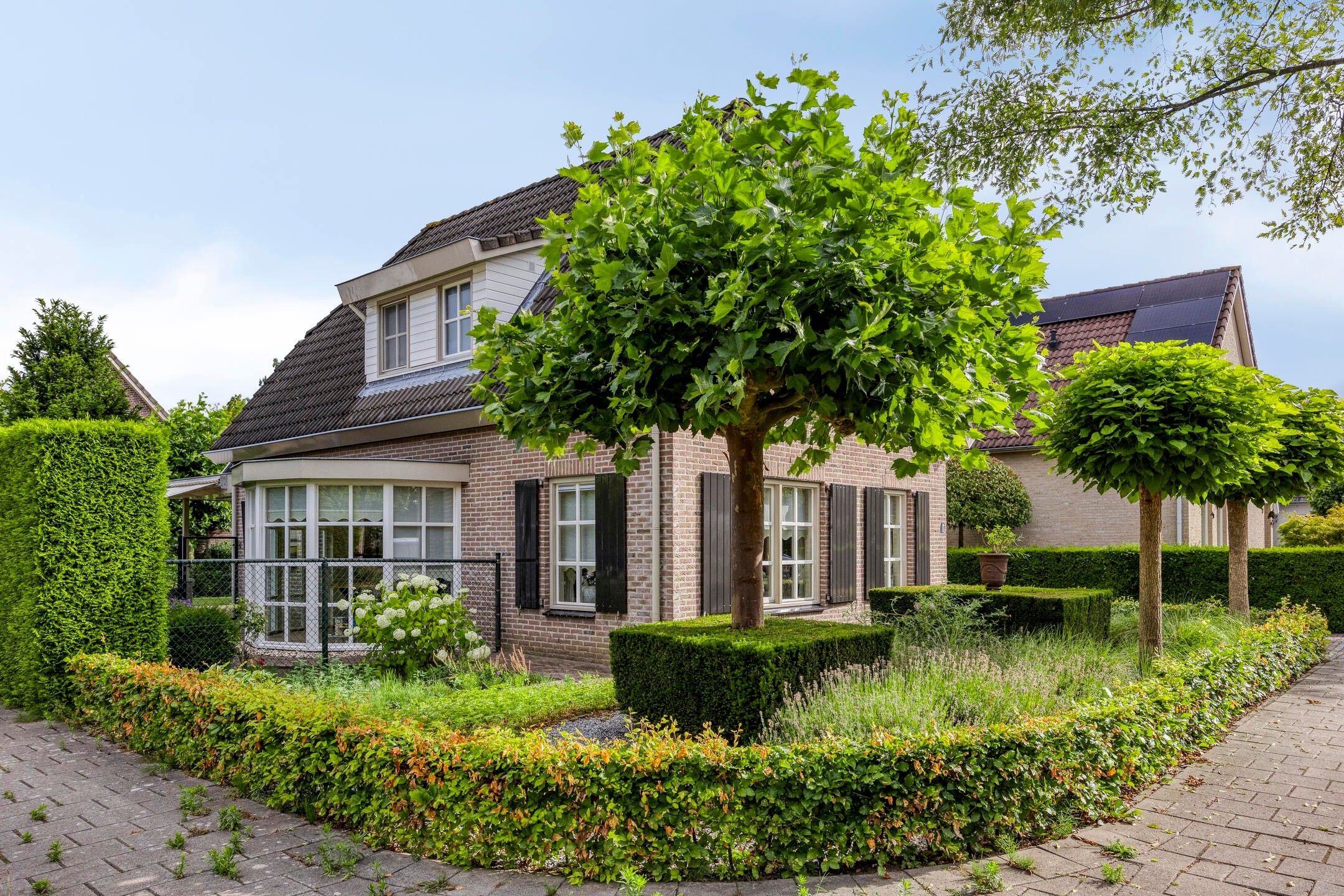 Foto 3 van Kuiltjeshei 12