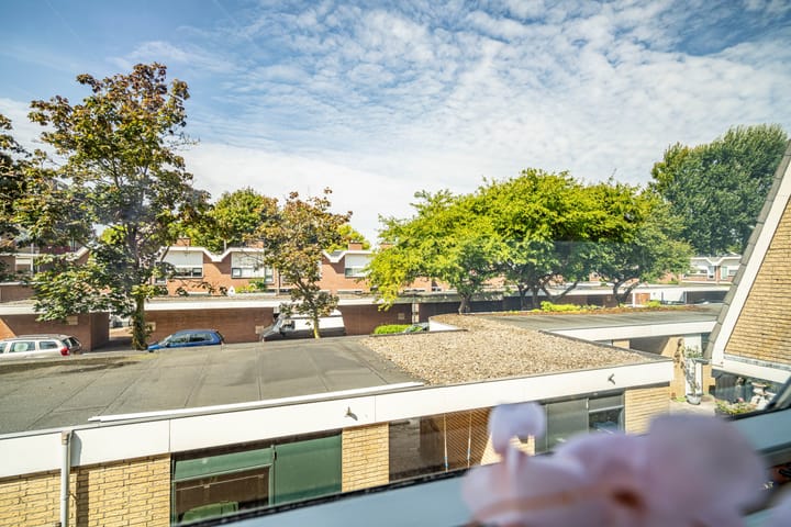 Foto 50 van Fakkelgras 12