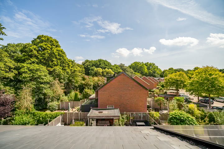 Foto 58 van Fakkelgras 12