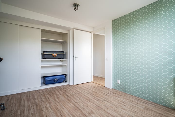 Foto 60 van Fakkelgras 12