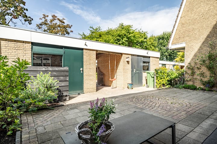 Foto 67 van Fakkelgras 12