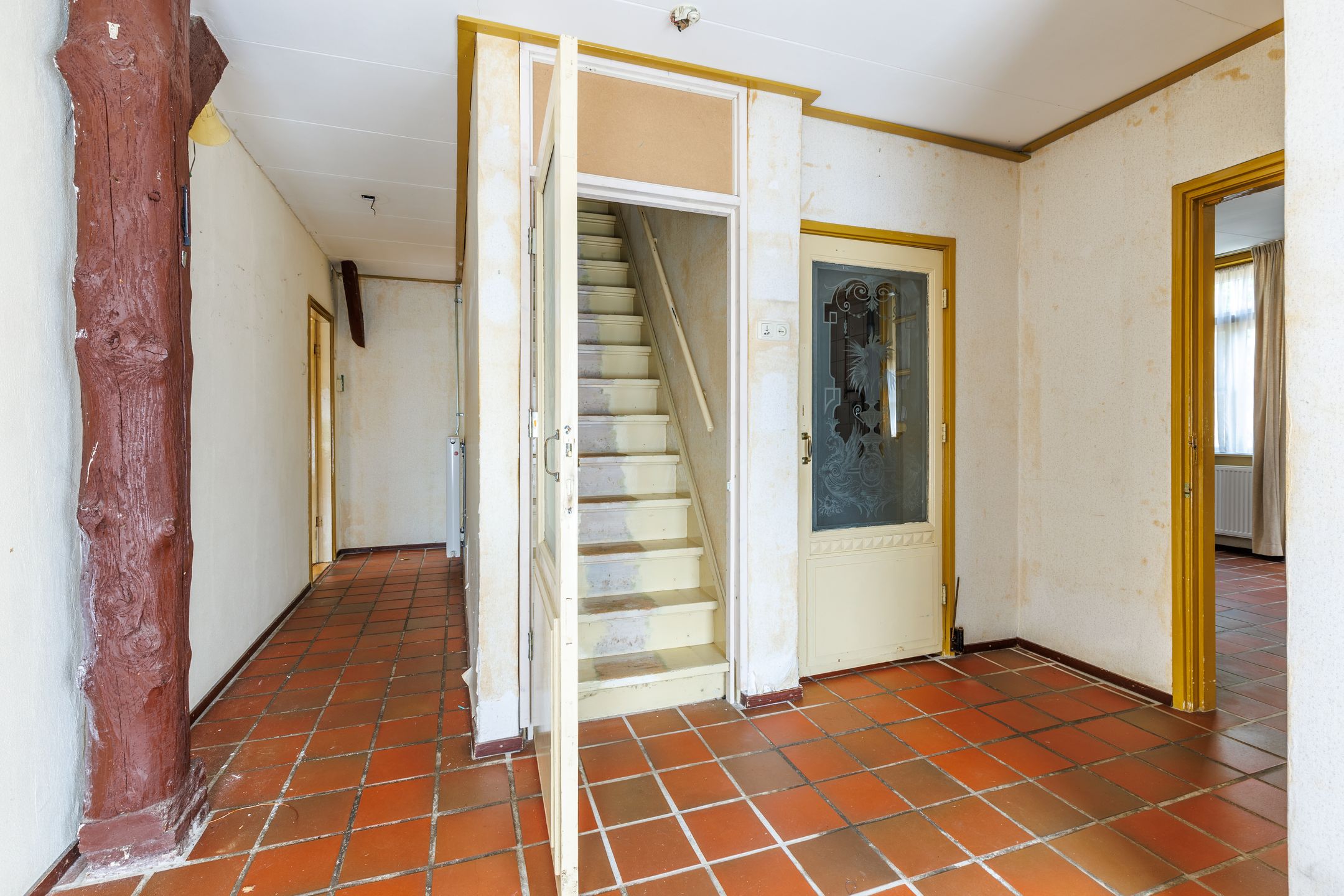 Foto 15 van Harriët Freezerplantsoen 16