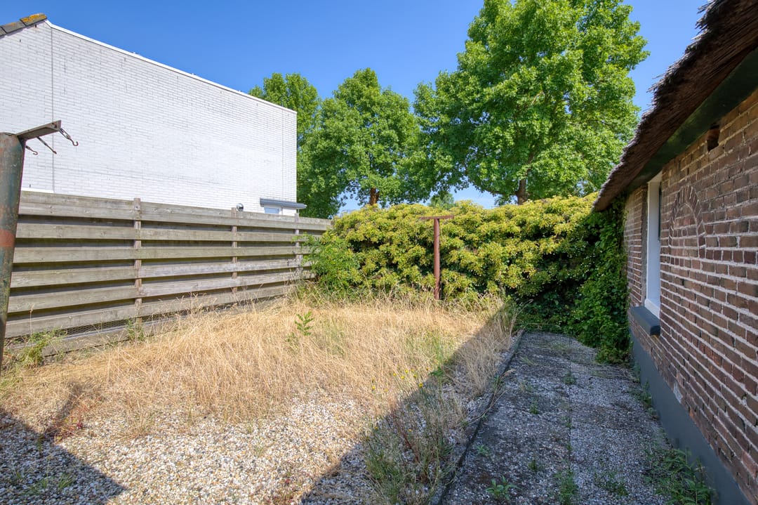 Foto 16 van Harriët Freezerplantsoen 16