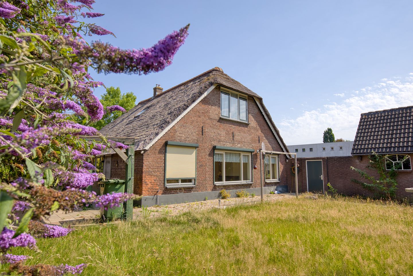 Foto 20 van Harriët Freezerplantsoen 16