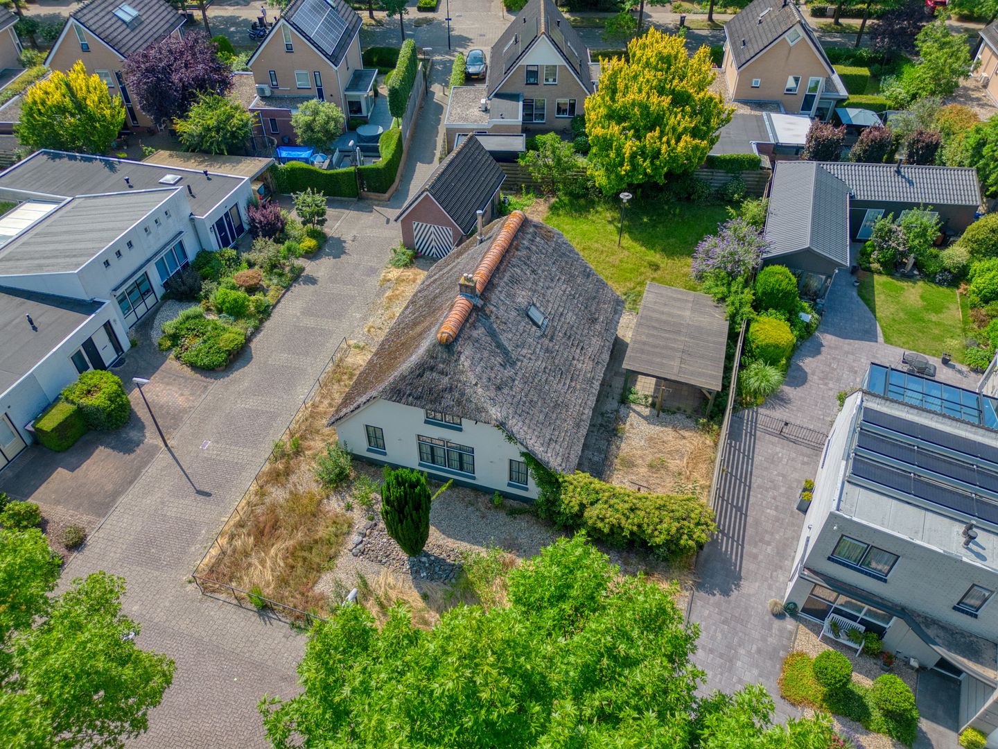 Foto 25 van Harriët Freezerplantsoen 16