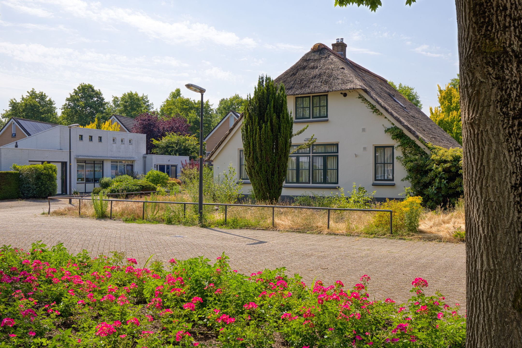 Foto 27 van Harriët Freezerplantsoen 16