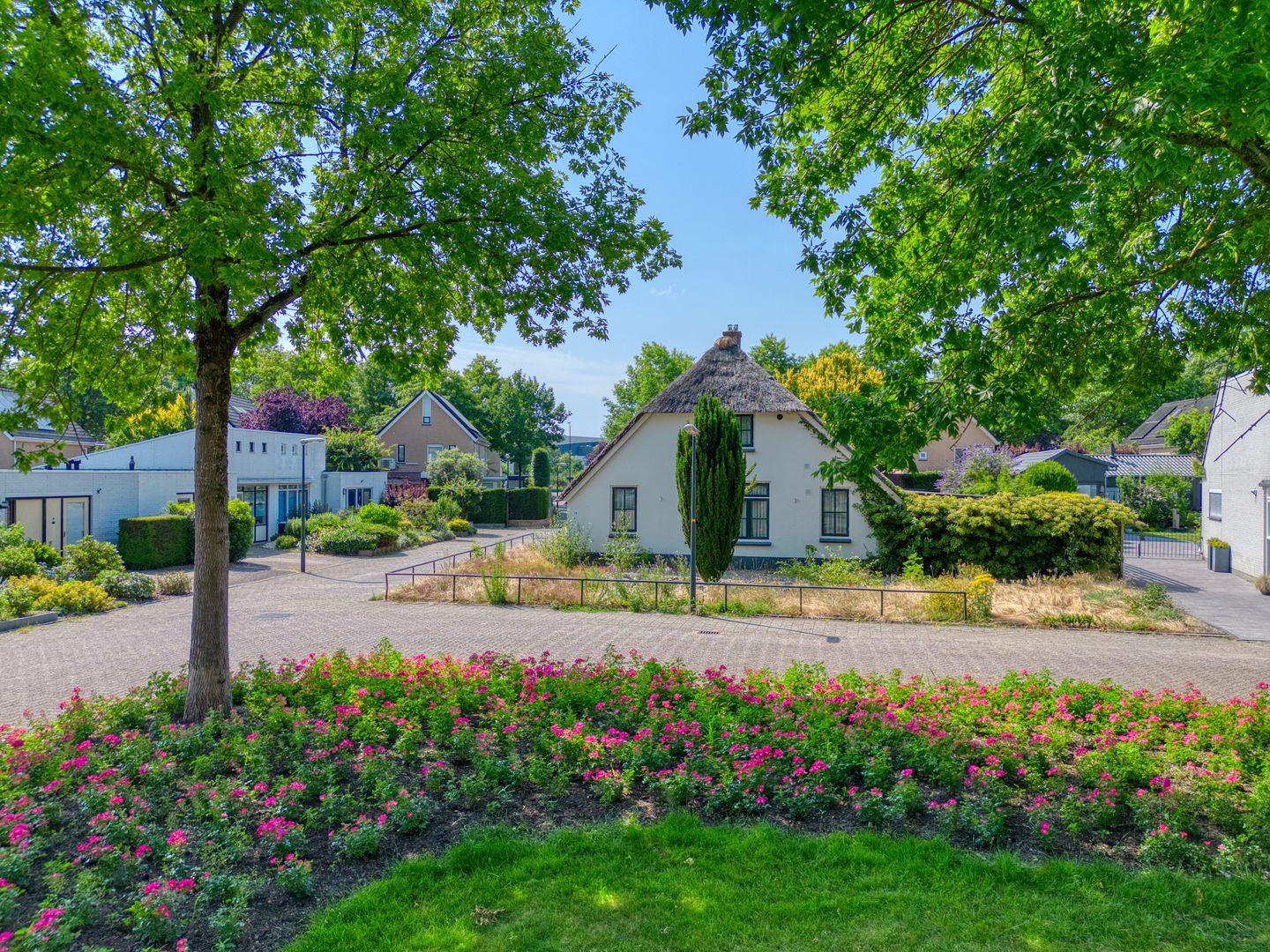 Foto 29 van Harriët Freezerplantsoen 16