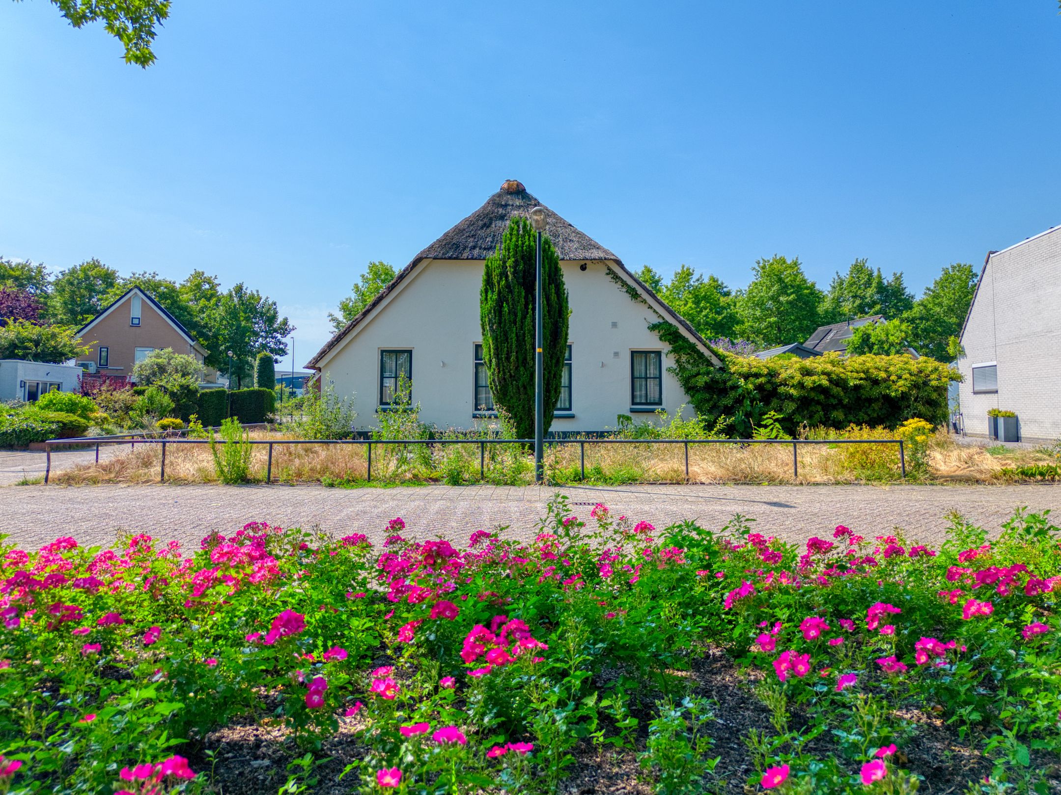 Foto 30 van Harriët Freezerplantsoen 16