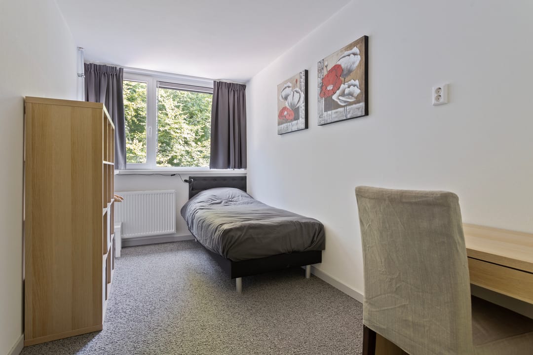 Foto 31 van Iglo Tademastraat 39