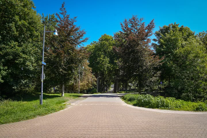 Foto 40 van Oenselsestraat 41