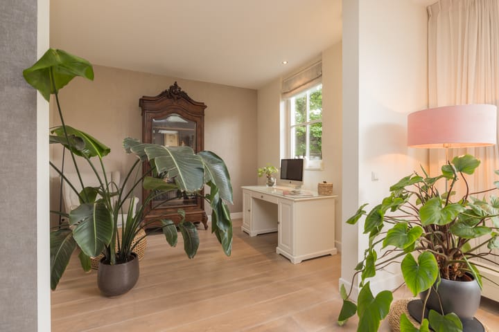 Photo 11 of Binnenhof 16