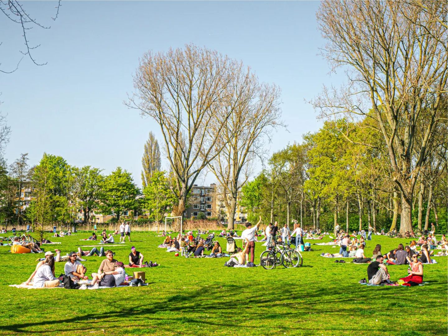 Foto 25 van Charlotte de Bourbonstraat 35-3