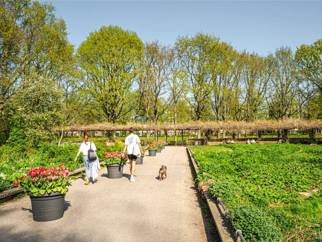 Foto 26 van Charlotte de Bourbonstraat 35-3