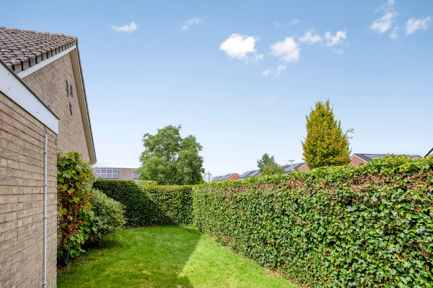 Foto 29 van Rembrandtstraat 9