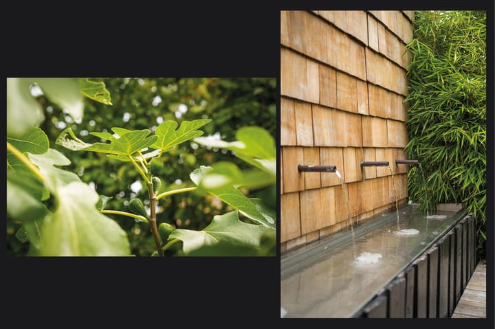 Foto 57 van Wikke 16