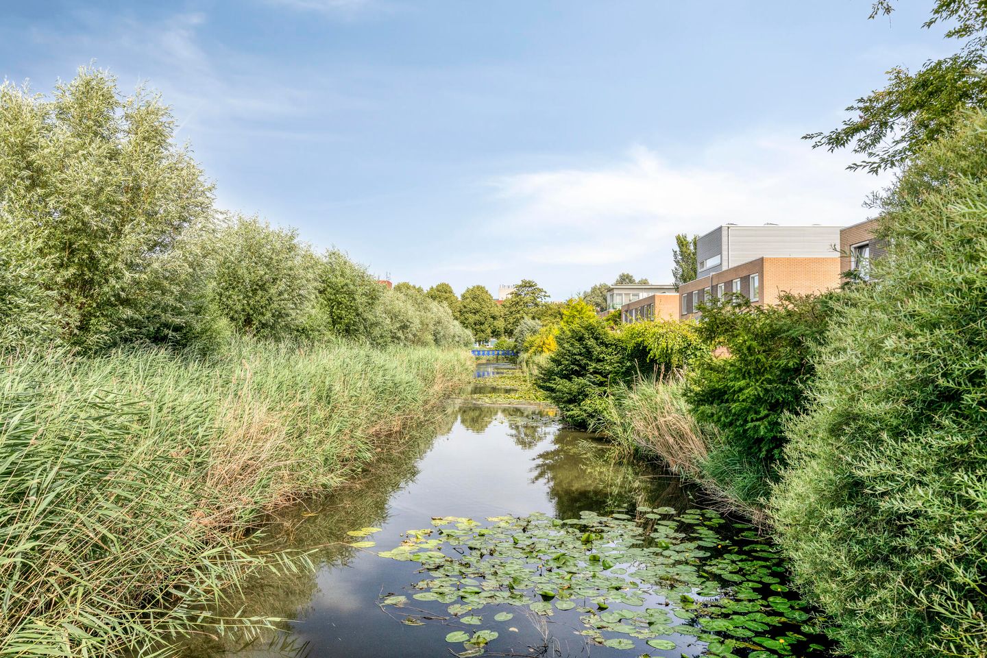 Foto 44 van Desselstraat 16