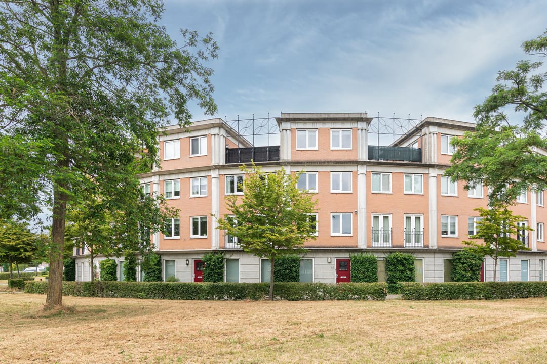 Foto 1 van Schijfmos 15