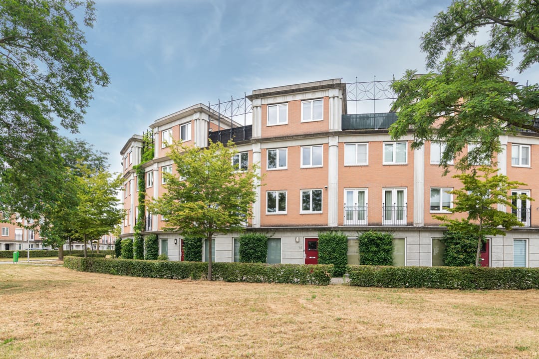 Foto 2 van Schijfmos 15