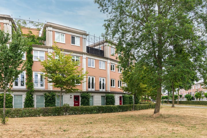 Foto 3 van Schijfmos 15