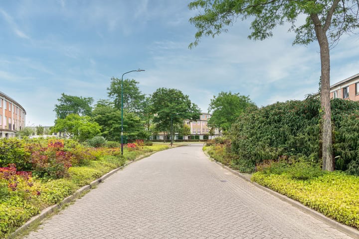 Foto 4 van Schijfmos 15