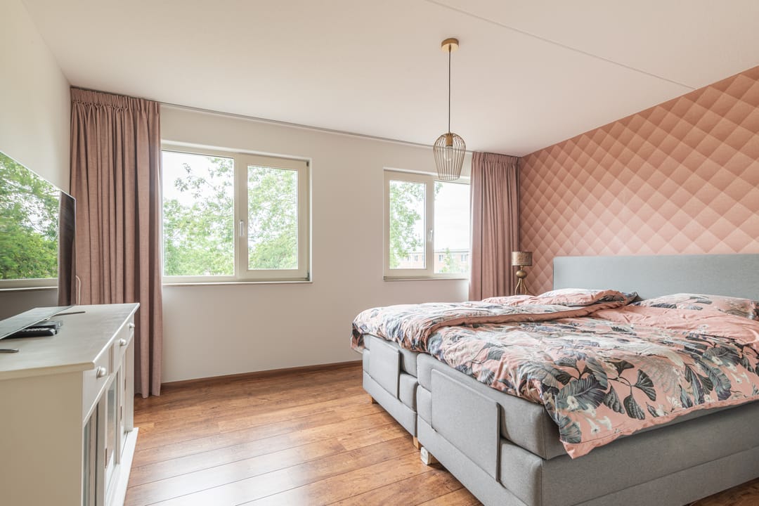 Foto 17 van Schijfmos 15