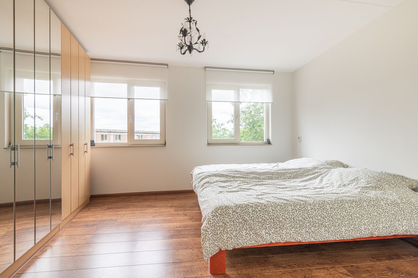 Foto 19 van Schijfmos 15