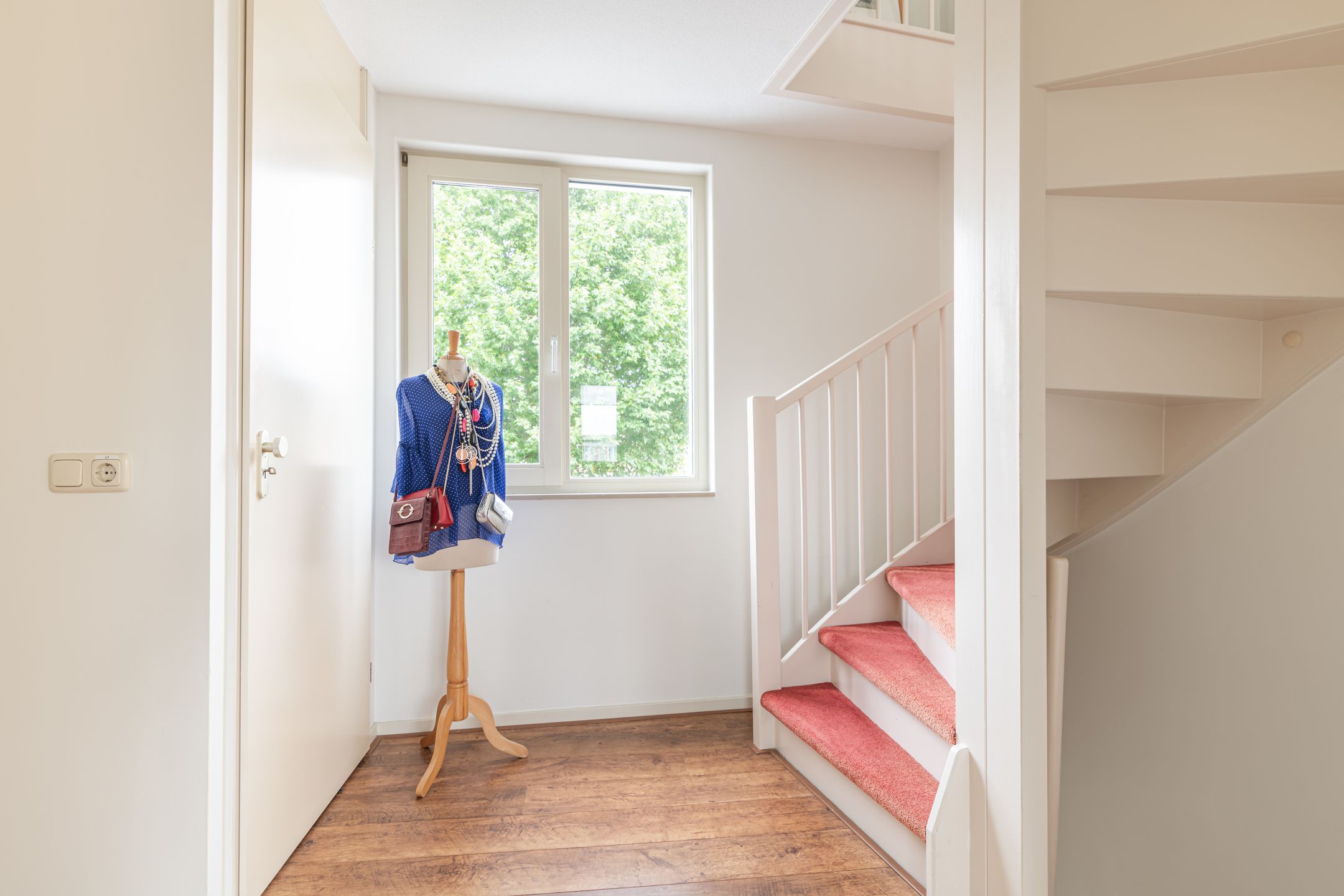 Foto 24 van Schijfmos 15